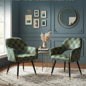 Pair of 2 Accent Chairs Set